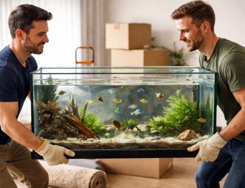 How to choose specialty movers for unique items