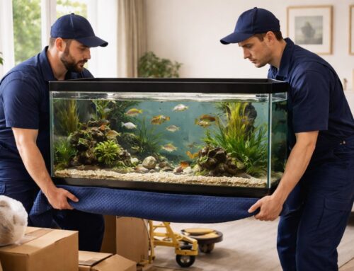 How to safely move aquariums